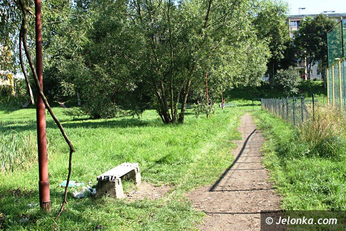 czytelniczka-chaszcze-zarosy-zabobrze-foto-64628