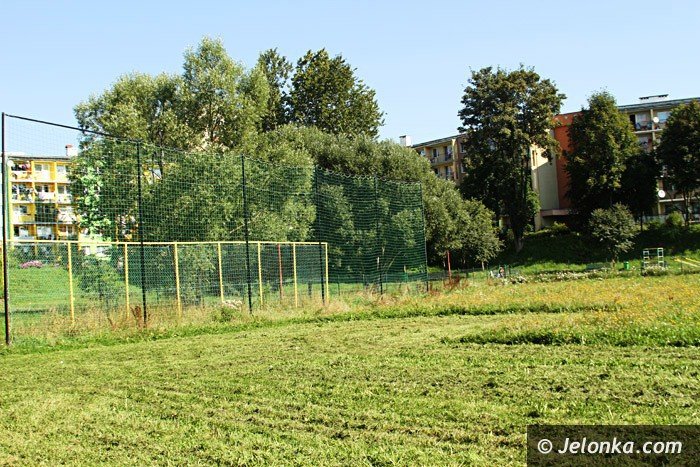 czytelniczka-chaszcze-zarosy-zabobrze-foto-64628