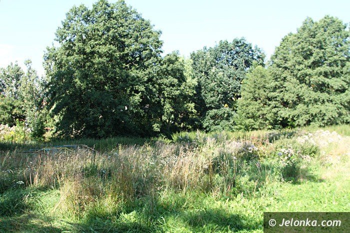 czytelniczka-chaszcze-zarosy-zabobrze-foto-64628
