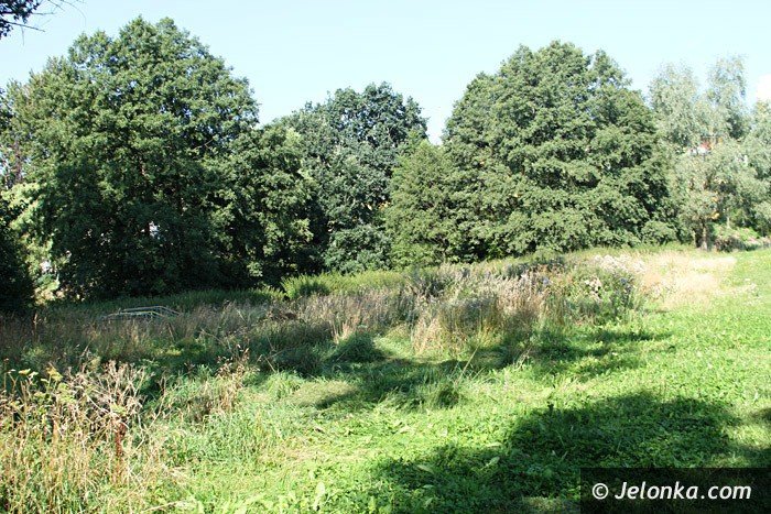 czytelniczka-chaszcze-zarosy-zabobrze-foto-64628