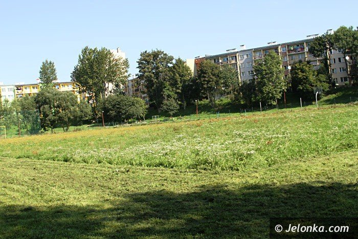czytelniczka-chaszcze-zarosy-zabobrze-foto-64628