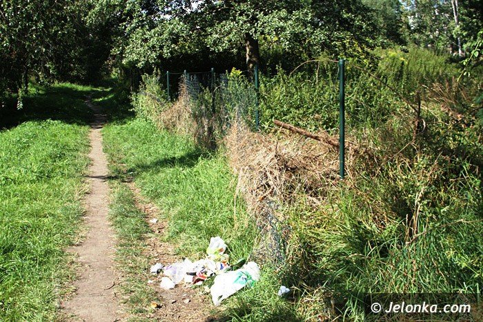 czytelniczka-chaszcze-zarosy-zabobrze-foto-64628