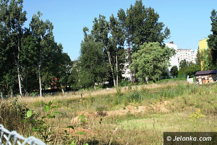 czytelniczka-chaszcze-zarosy-zabobrze-foto-64628
