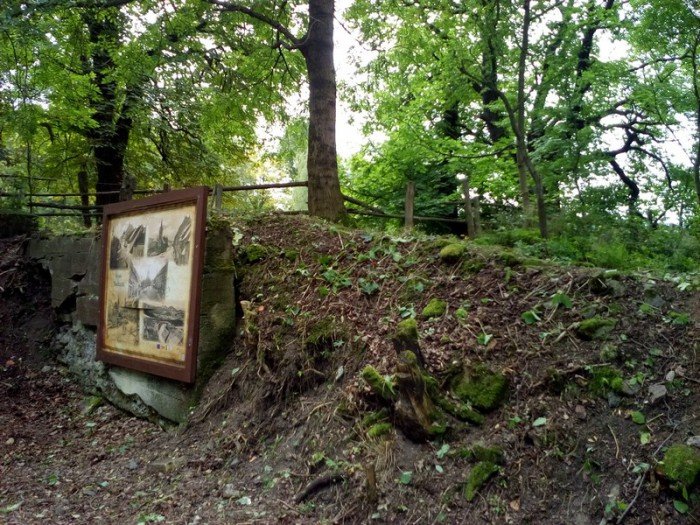 los-miedzianki-nie-jest-im-obojetny-foto-64653