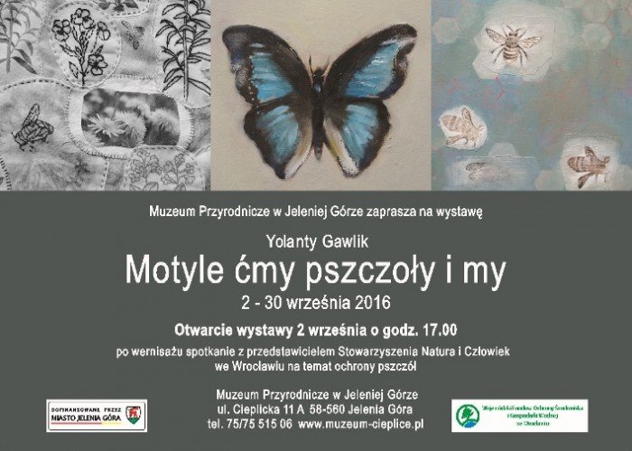 motyle-cmy-pszczoy-i-my-yolanty-gawlik-64656