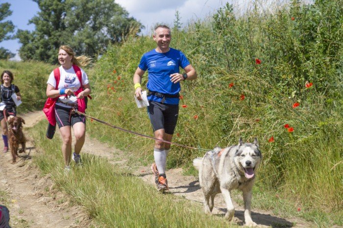 nadchodzi-4-etap-pucharu-polski-w-dogtrekkingu-64675