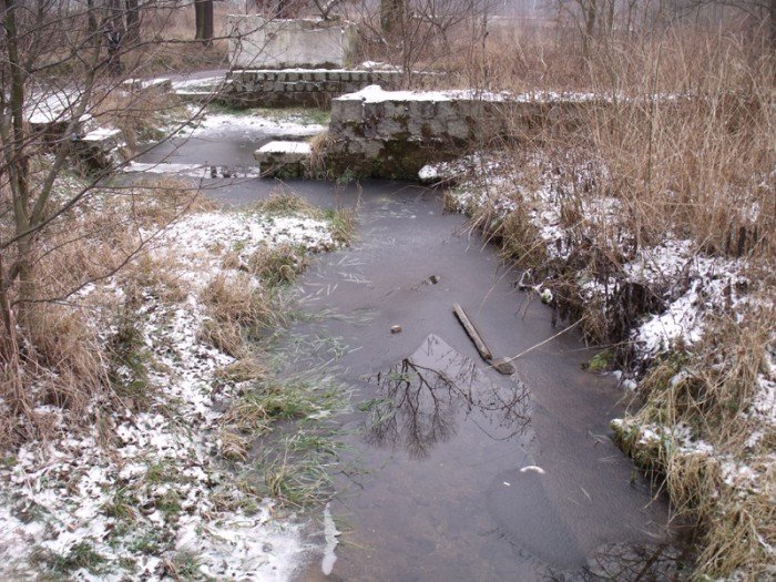 na-niezwyka-wedrowke-z-jelonkacom-foto-64682