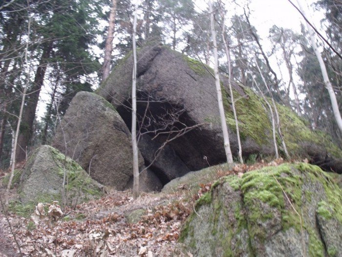 na-niezwyka-wedrowke-z-jelonkacom-foto-64682