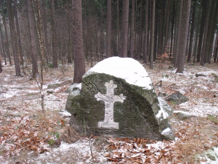 na-niezwyka-wedrowke-z-jelonkacom-foto-64682