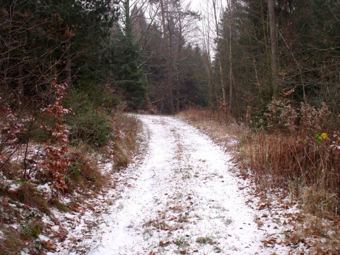 na-niezwyka-wedrowke-z-jelonkacom-foto-64682