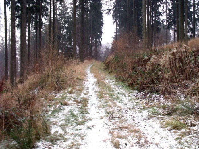 na-niezwyka-wedrowke-z-jelonkacom-foto-64682