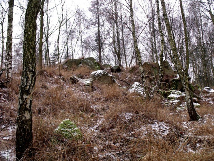 na-niezwyka-wedrowke-z-jelonkacom-foto-64682