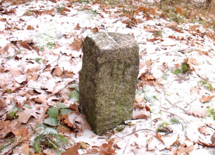 na-niezwyka-wedrowke-z-jelonkacom-foto-64682