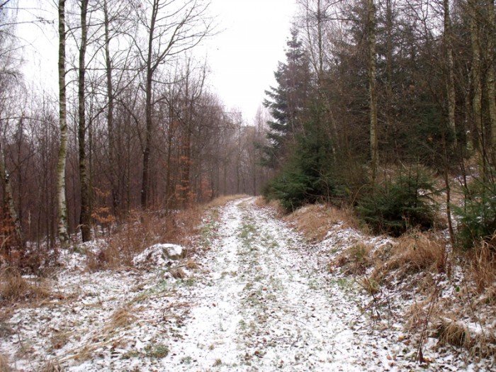 na-niezwyka-wedrowke-z-jelonkacom-foto-64682