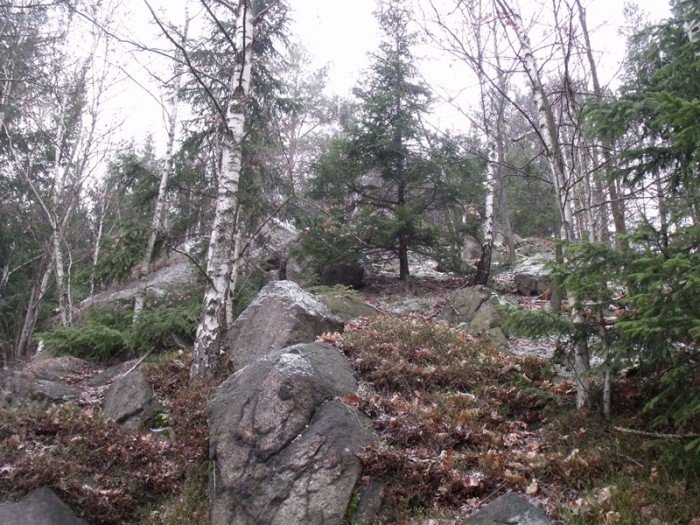 na-niezwyka-wedrowke-z-jelonkacom-foto-64682