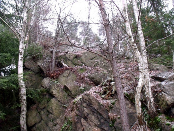 na-niezwyka-wedrowke-z-jelonkacom-foto-64682