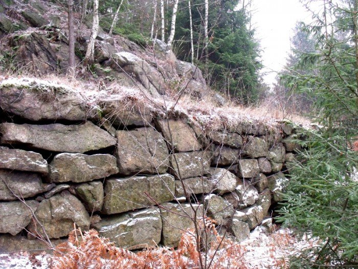 na-niezwyka-wedrowke-z-jelonkacom-foto-64682