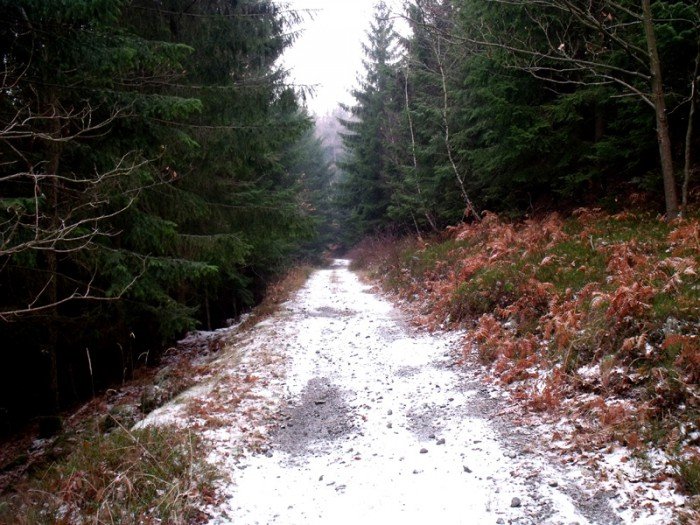 na-niezwyka-wedrowke-z-jelonkacom-foto-64682