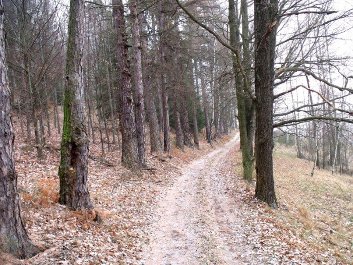 na-niezwyka-wedrowke-z-jelonkacom-foto-64682