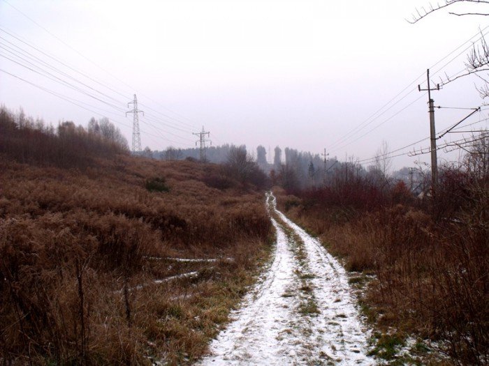 na-niezwyka-wedrowke-z-jelonkacom-foto-64682