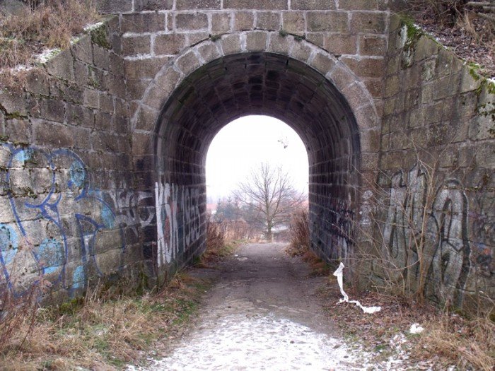 na-niezwyka-wedrowke-z-jelonkacom-foto-64682