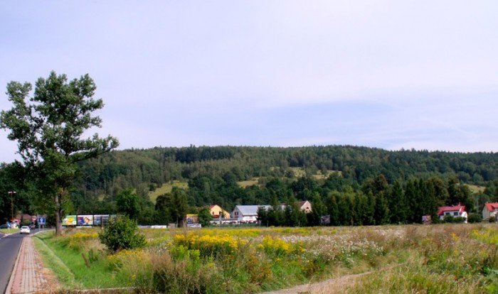 na-niezwyka-wedrowke-z-jelonkacom-foto-64682