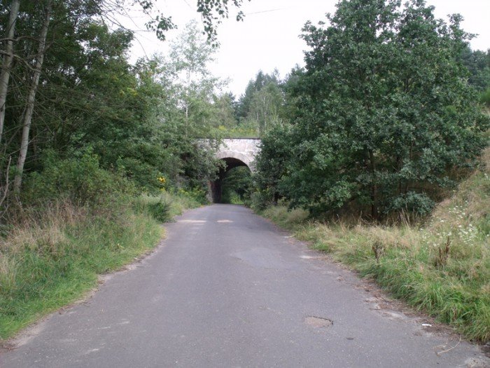 na-niezwyka-wedrowke-z-jelonkacom-foto-64682