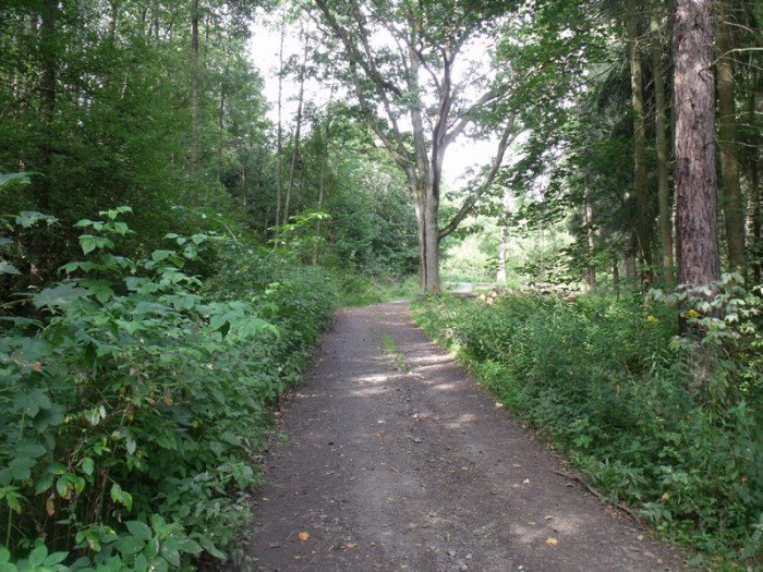 na-niezwyka-wedrowke-z-jelonkacom-foto-64682