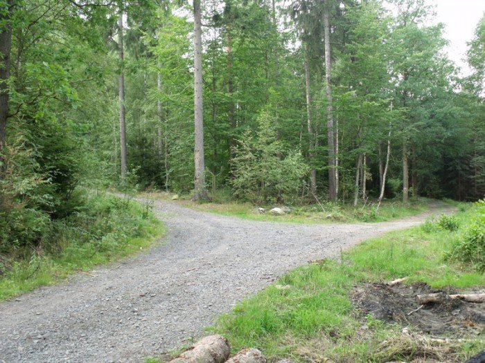 na-niezwyka-wedrowke-z-jelonkacom-foto-64682