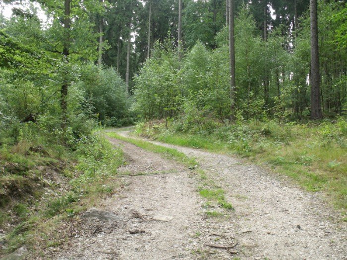 na-niezwyka-wedrowke-z-jelonkacom-foto-64682