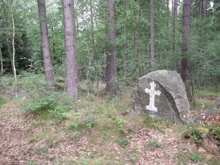 na-niezwyka-wedrowke-z-jelonkacom-foto-64682