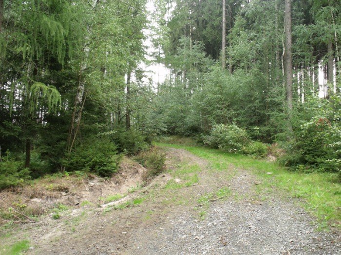 na-niezwyka-wedrowke-z-jelonkacom-foto-64682