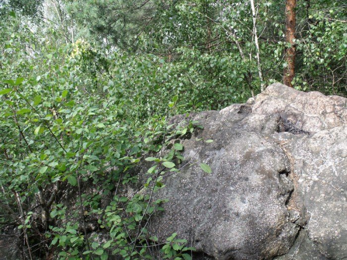 na-niezwyka-wedrowke-z-jelonkacom-foto-64682