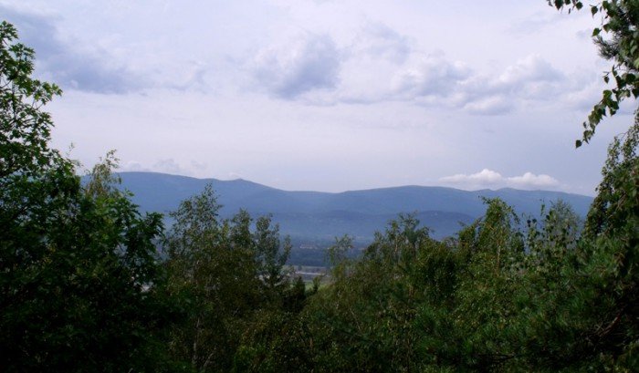 na-niezwyka-wedrowke-z-jelonkacom-foto-64682