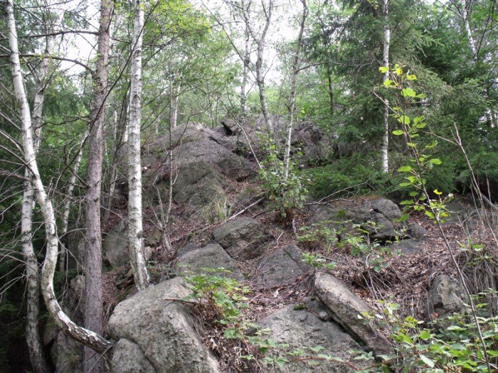 na-niezwyka-wedrowke-z-jelonkacom-foto-64682
