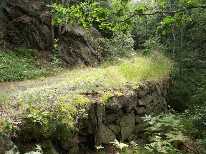 na-niezwyka-wedrowke-z-jelonkacom-foto-64682