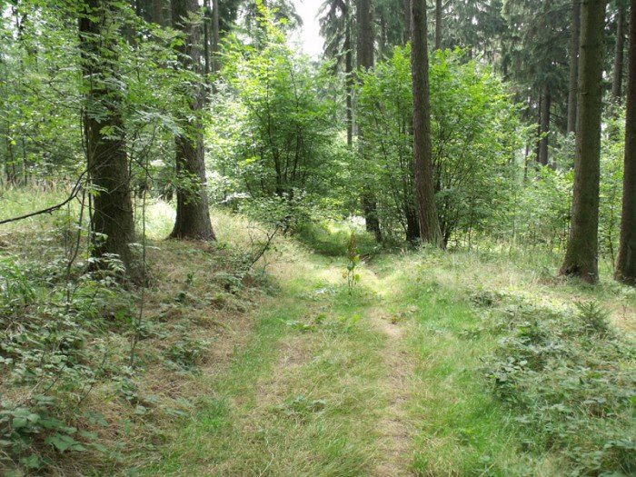 na-niezwyka-wedrowke-z-jelonkacom-foto-64682
