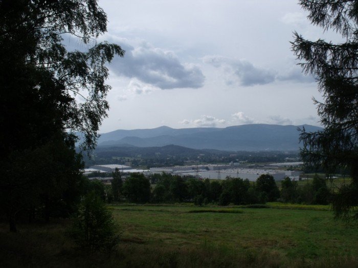 na-niezwyka-wedrowke-z-jelonkacom-foto-64682