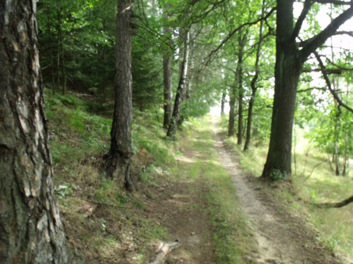 na-niezwyka-wedrowke-z-jelonkacom-foto-64682