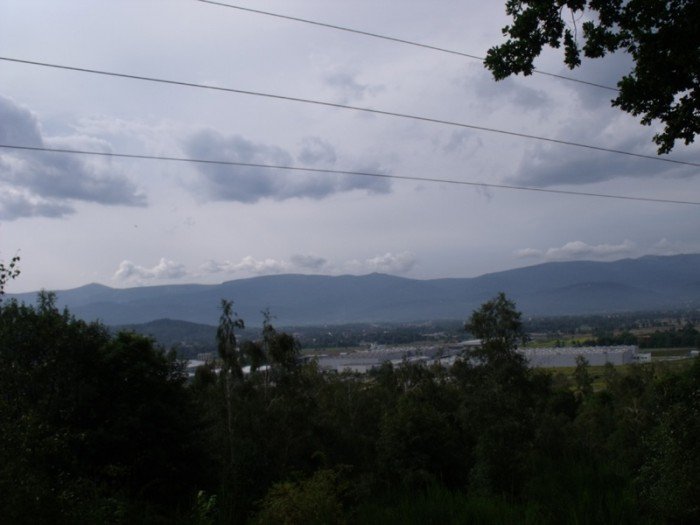 na-niezwyka-wedrowke-z-jelonkacom-foto-64682