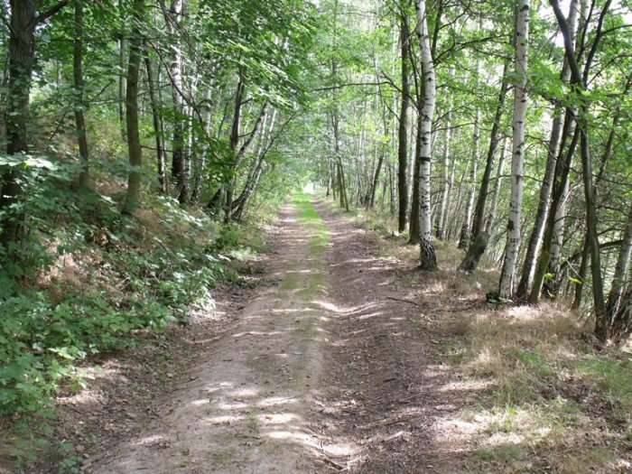 na-niezwyka-wedrowke-z-jelonkacom-foto-64682