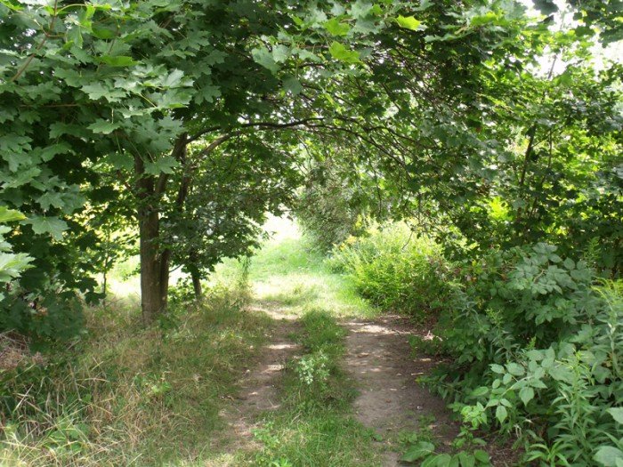 na-niezwyka-wedrowke-z-jelonkacom-foto-64682