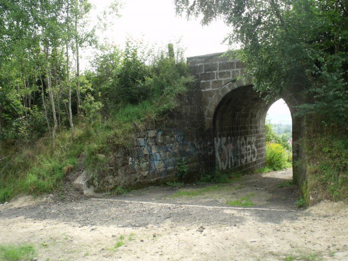 na-niezwyka-wedrowke-z-jelonkacom-foto-64682