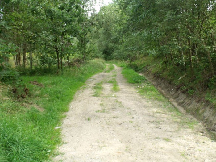 na-niezwyka-wedrowke-z-jelonkacom-foto-64682