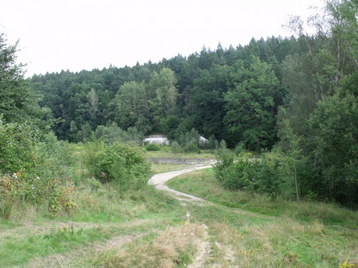 na-niezwyka-wedrowke-z-jelonkacom-foto-64682