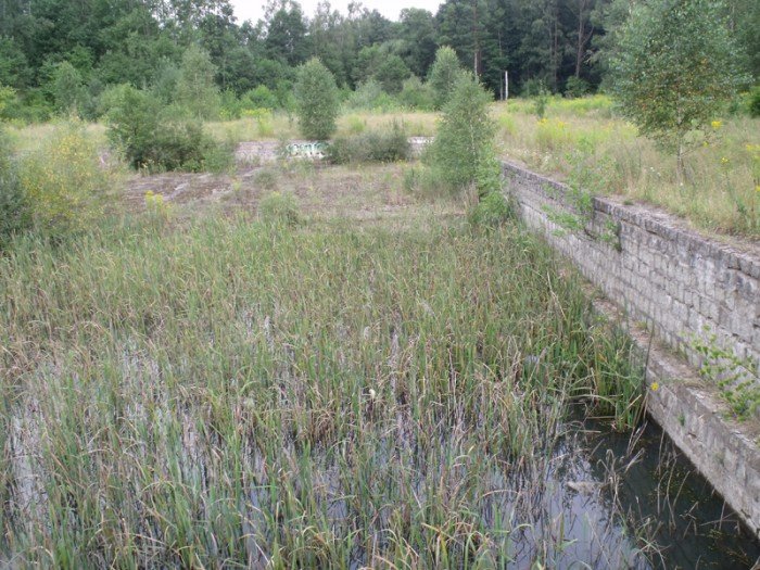 na-niezwyka-wedrowke-z-jelonkacom-foto-64682