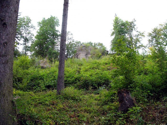 wycieczki-z-eugeniuszem-gronostajem-foto-64689