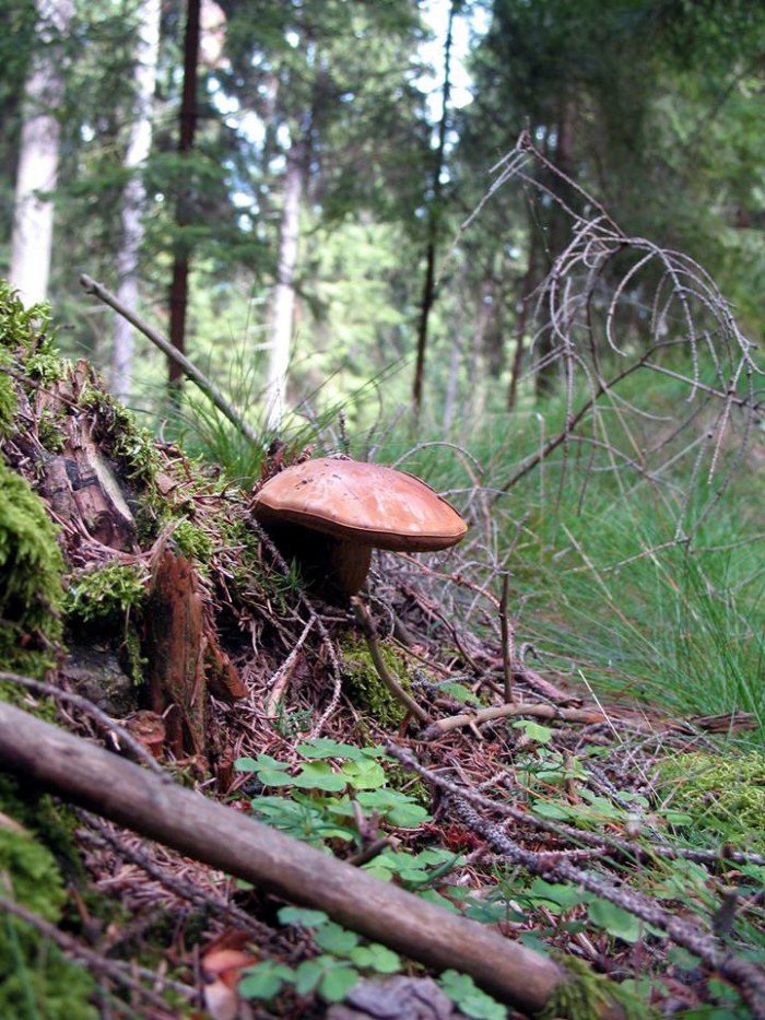 wycieczki-z-eugeniuszem-gronostajem-foto-64689