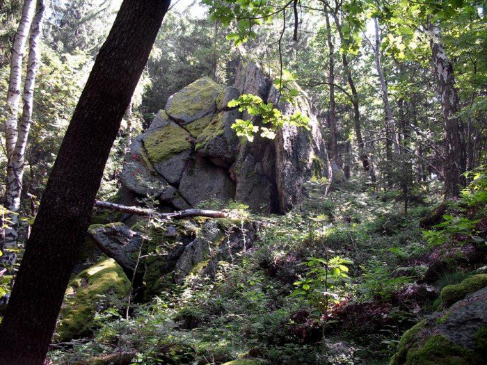wycieczki-z-eugeniuszem-gronostajem-foto-64689