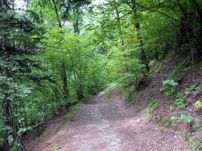 wycieczki-z-eugeniuszem-gronostajem-foto-64689